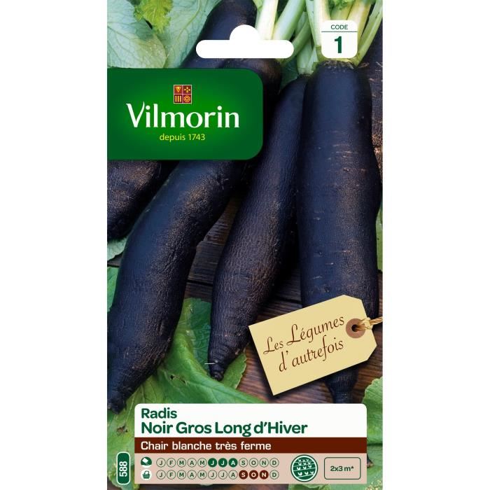 Semences pour radis noir de la variete gros long d'hiver - 1 m