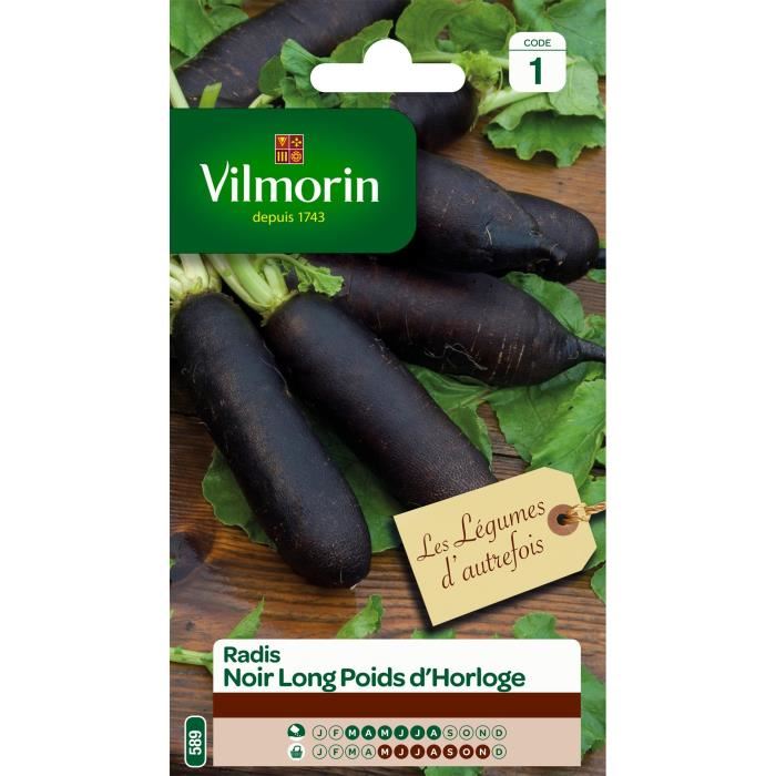 Vilmorin Radis Noir Long Poids Dhorloge
