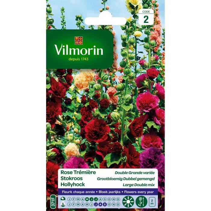VILMORIN Rose tremiere double grande variee