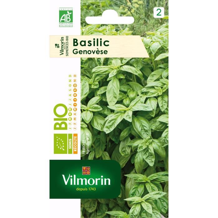 Basilic Genovese Bio Vilmorin