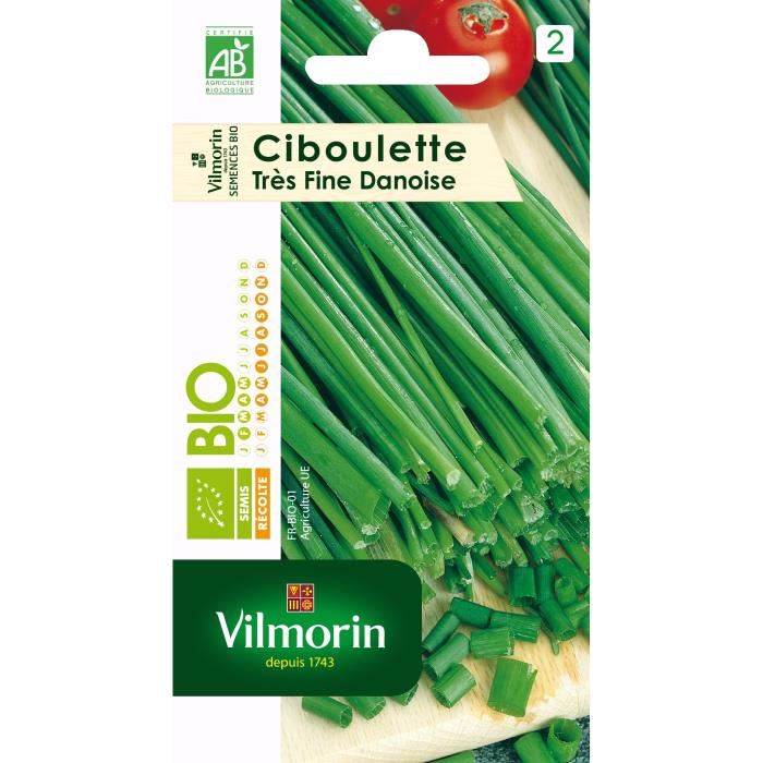 Ciboulette Tres Fine Danoise Bio Vilmorin