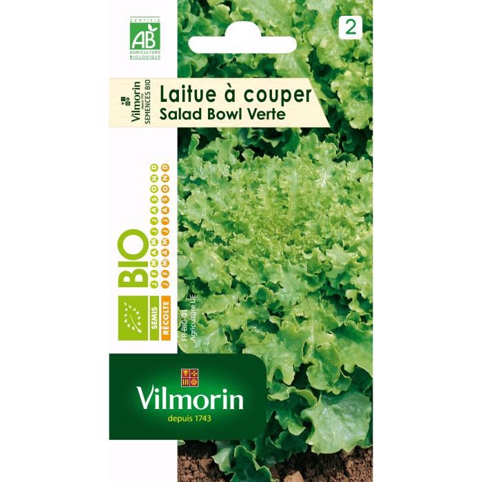 Laitue A Couper Salad Bowl Verte Bio Vilmorin