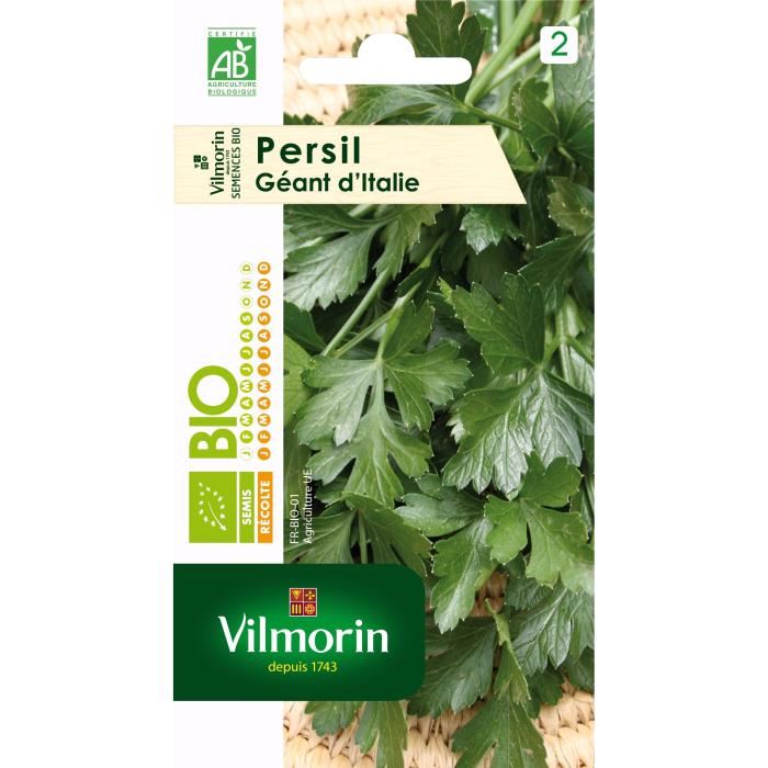 Persil Geant D Italie Bio Vilmorin