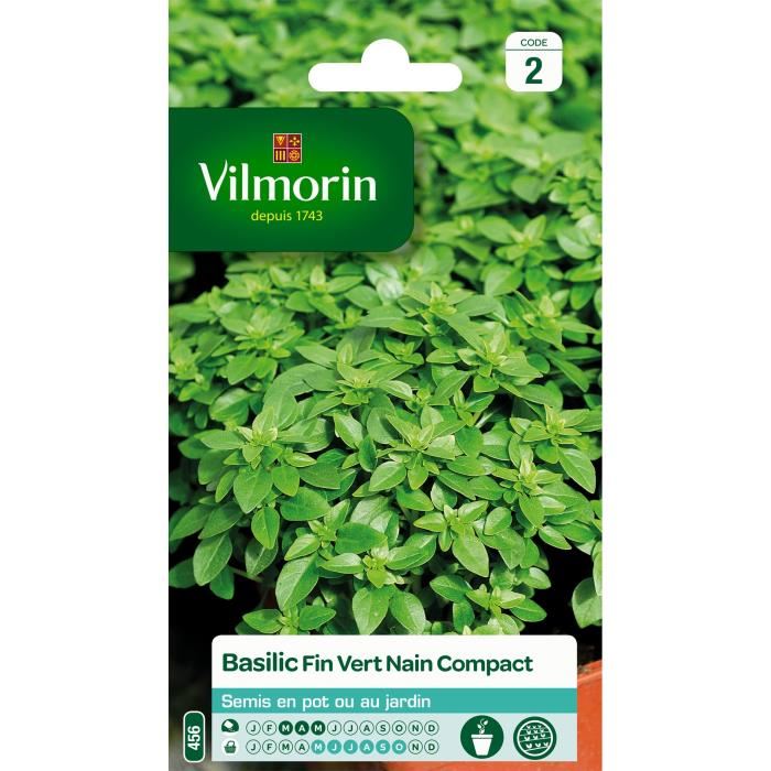 Vilmorin Sachet Graines De Basilic Fin Vert