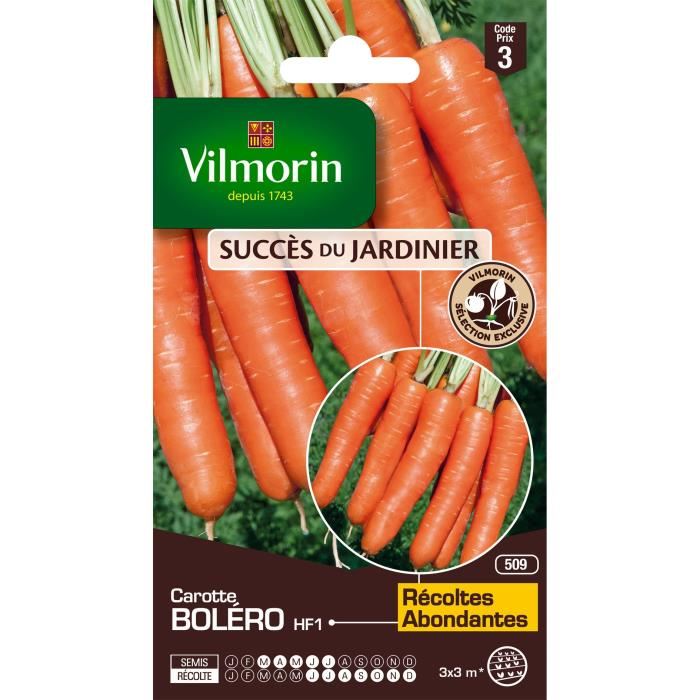 Vilmorin - Sachet De Graines Carottes Bo...