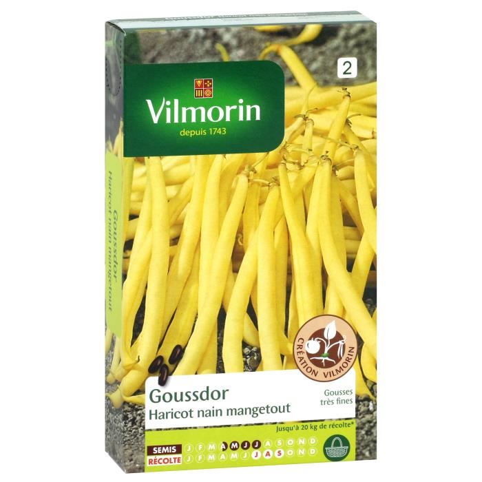 Vilmorin 1172353 Pack De Graines Haricot...