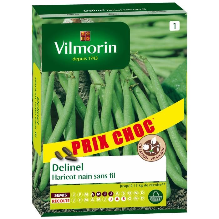 VILMORIN Sachet graines de Haricot nain sans fil DELINEL