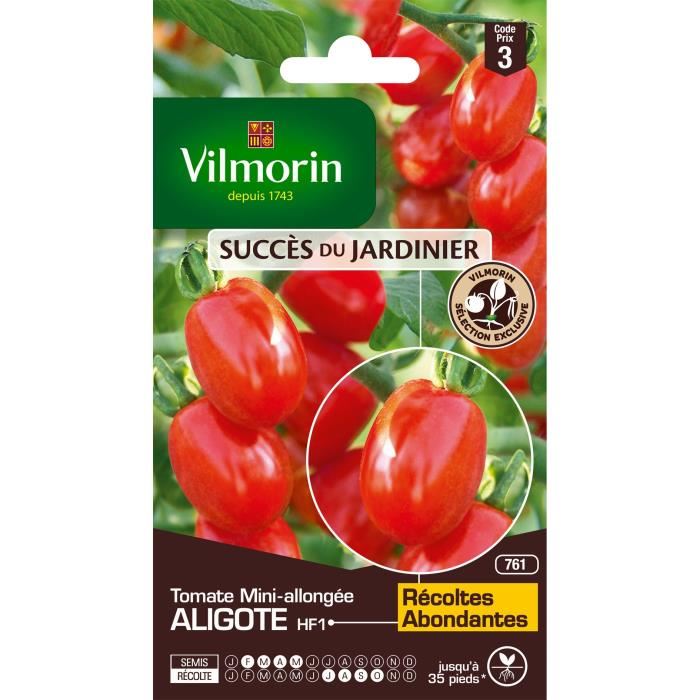 Graines De Tomate Aligote - Vilmorin - Type Mini Allonge - Rustique Et Vigoureuse