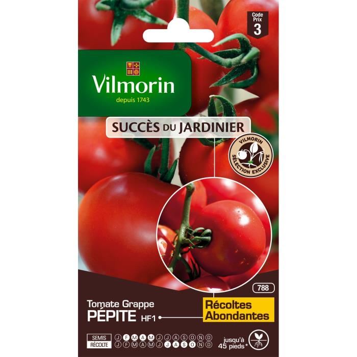 Vilmorin Sachet Graines De Tomate Grappe Pepite - Creation Vilmorin