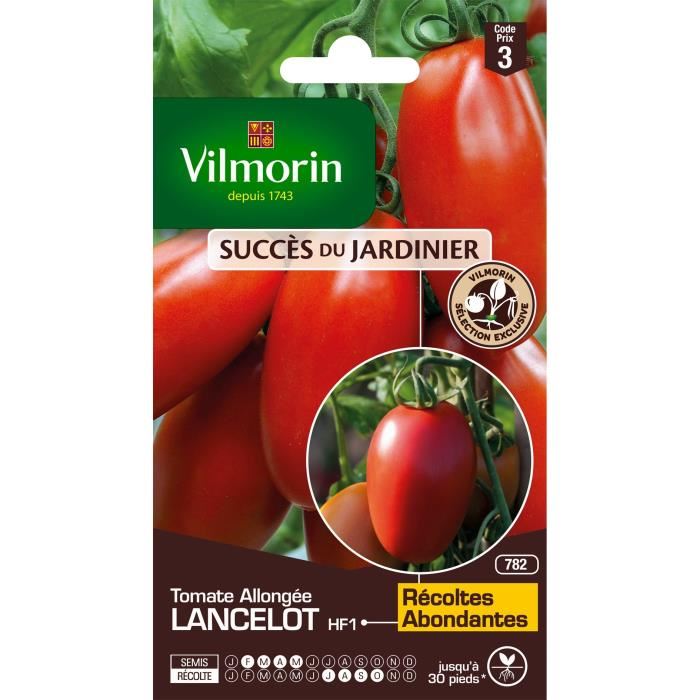 Tomate lancelot HF1