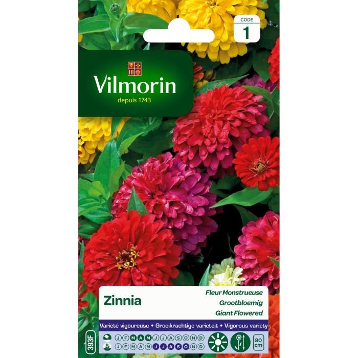 Vilmorin Zinnia A Fleur Monstrueuse Varie