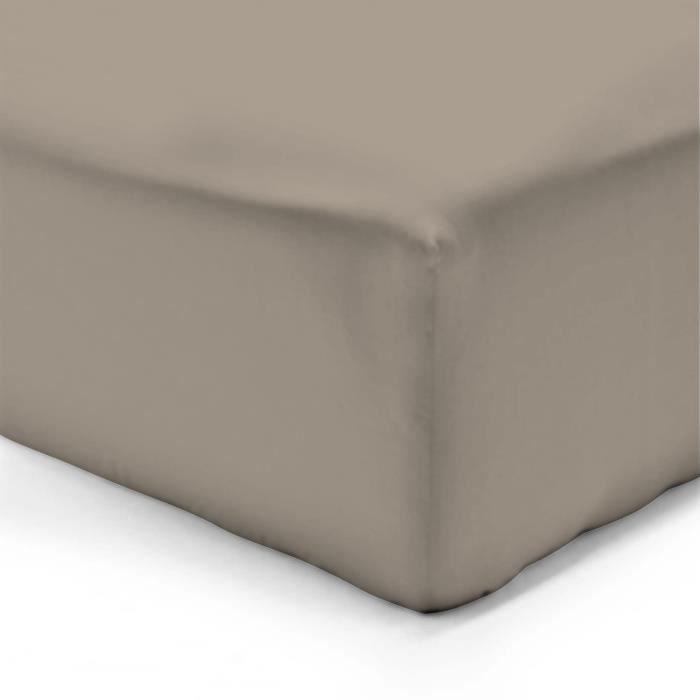 Drap housse coton (200 cm) Lisa Uni Taupe