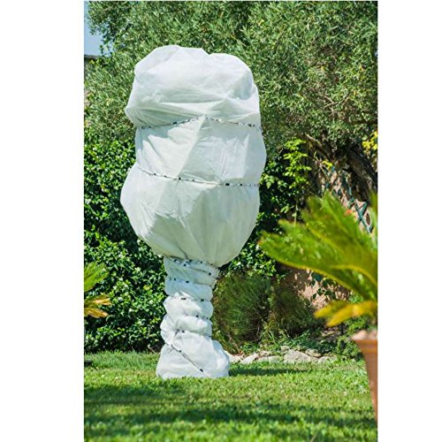 Voile d hivernage 2x10m blanc 30g/m2 - WERKAPRO