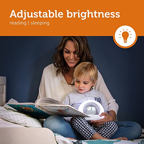 Veilleuse Programmable - Zazu - Lou Le Hibou - Capteur De Son - Se Rallume Aux Pleurs - Gris