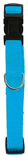 Zolux Collier Reglable en Nylon Turquoi ...
