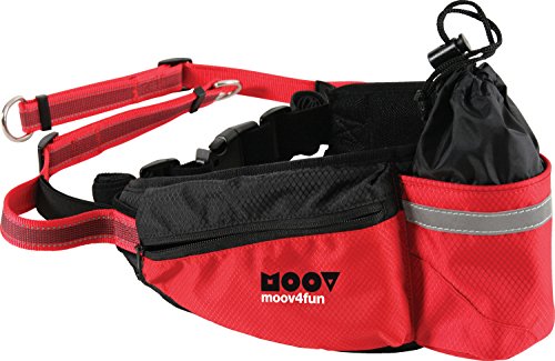 Zolux Ceinture Jogging Moov