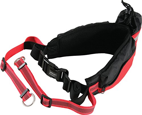 Zolux Ceinture Jogging Moov